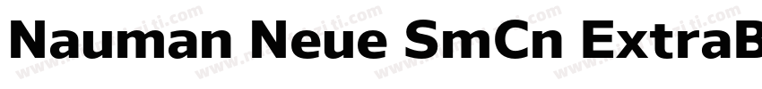 Nauman Neue SmCn ExtraBold字体转换